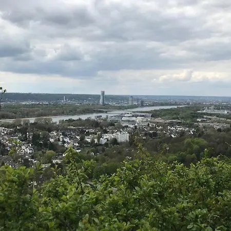 Modern Especially Suited For Business Consultants I Close To Dt, Dhl & Un Campus I Reserved Parking & 