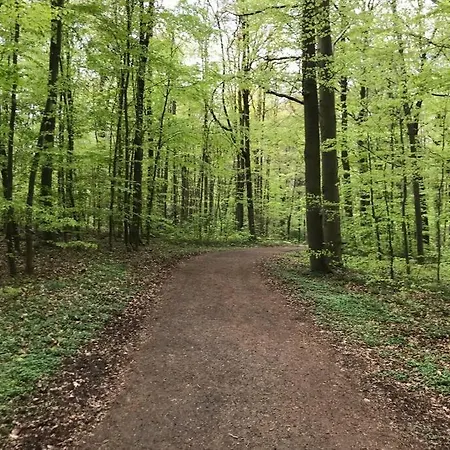 Modern Especially Suited For Business Consultants I Close To Dt, Dhl & Un Campus I Reserved Parking & 