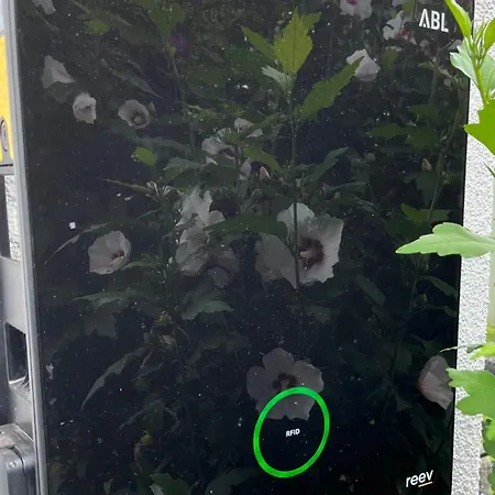 아파트 Modern Especially Suited For Business Consultants I Close To Dt, Dhl & Un Campus I Reserved Parking & 