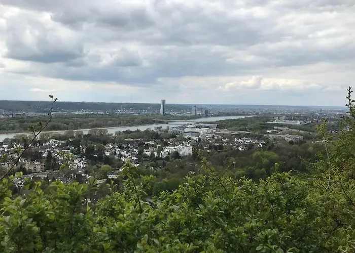 Modern Especially Suited For Business Consultants I Close To Dt, Dhl & Un Campus I Reserved Parking & 