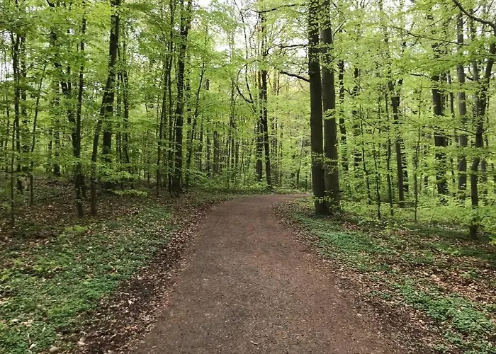 Modern Especially Suited For Business Consultants I Close To Dt, Dhl & Un Campus I Reserved Parking & 