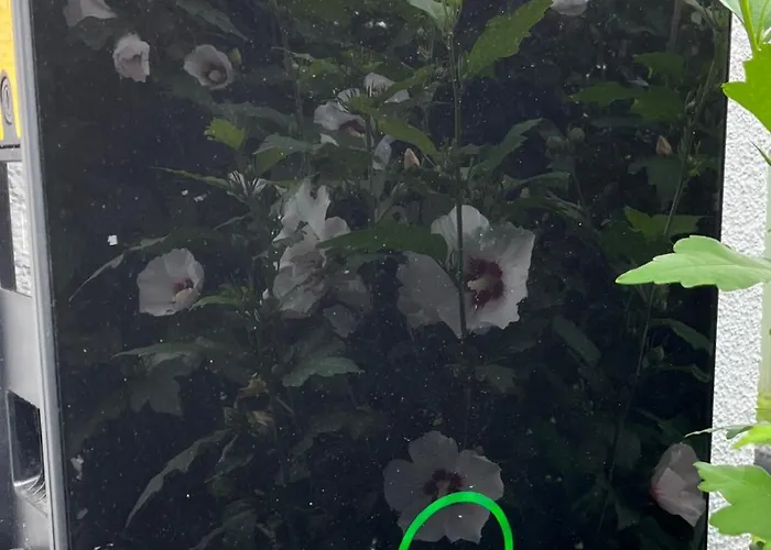 דירה Modern Especially Suited For Business Consultants I Close To Dt, Dhl & Un Campus I Reserved Parking & 